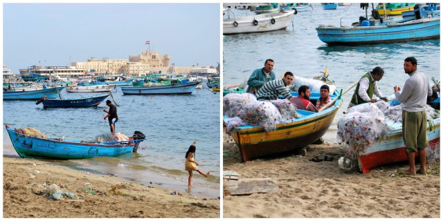 Egyptian Coast