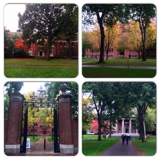 Harvard in Autumn
