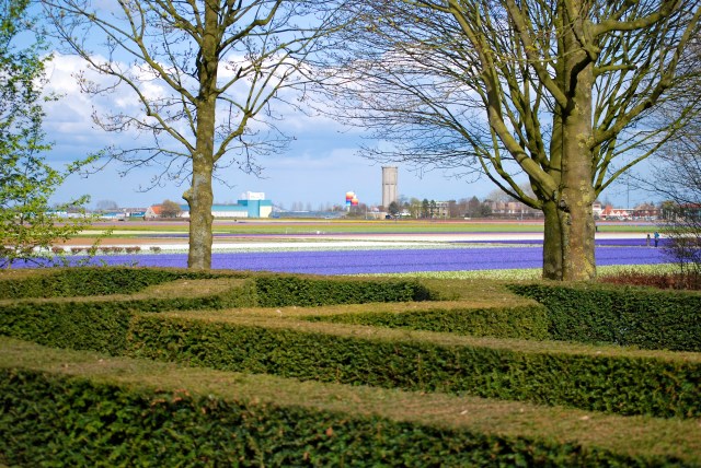 keukenhof 4