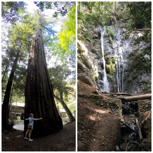 Pfeiffer Falls felt more like Pfeiffer drizzle but the hike was enjoyable on a crisp morning